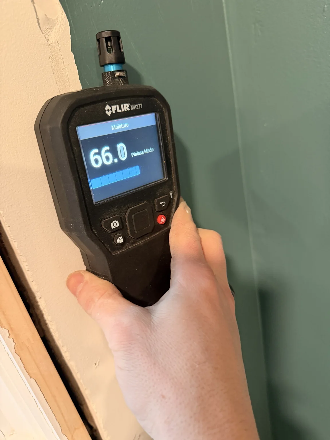 Moisture meter reading during inspection