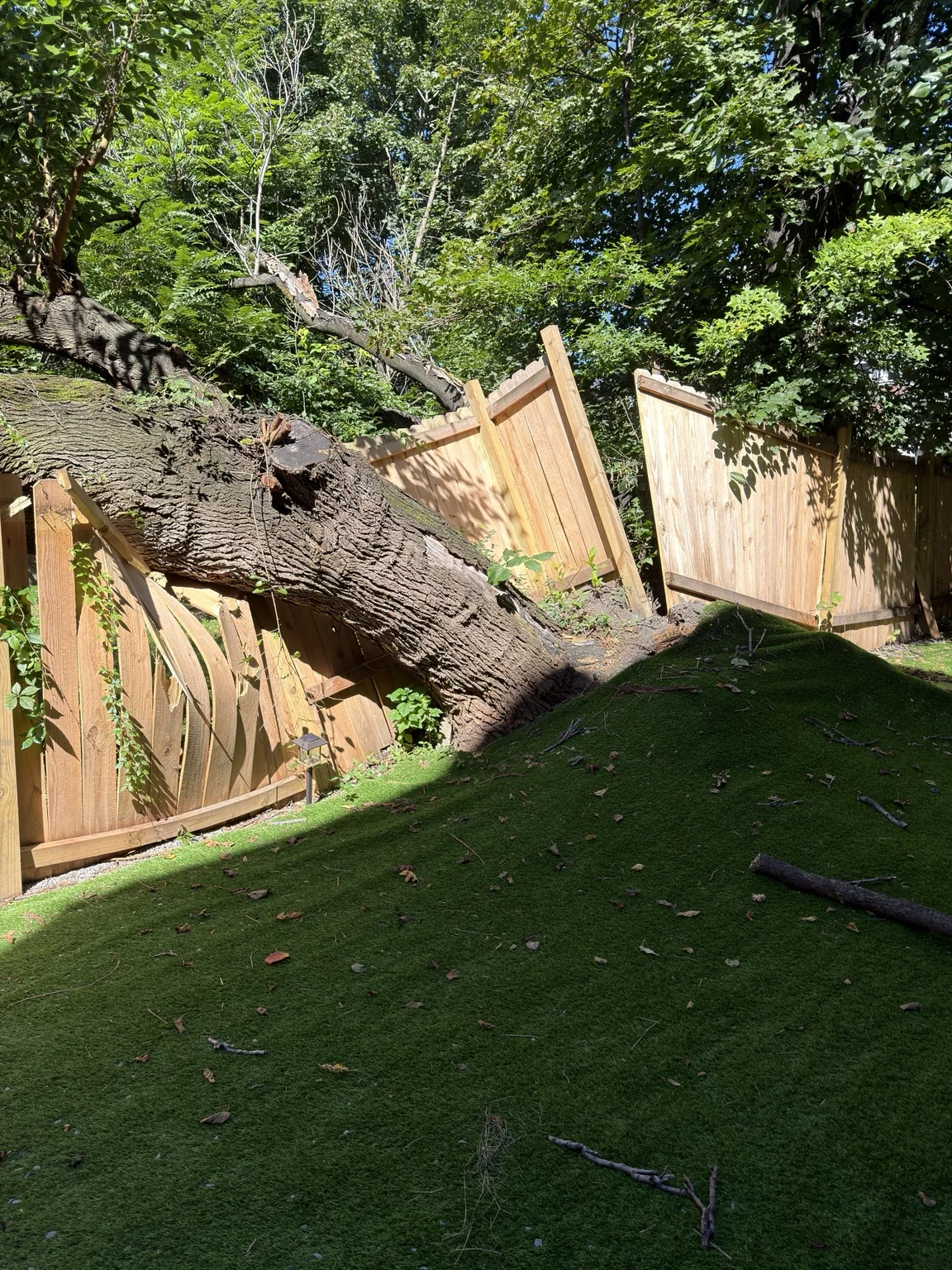 Tree fallen onto backyard fence