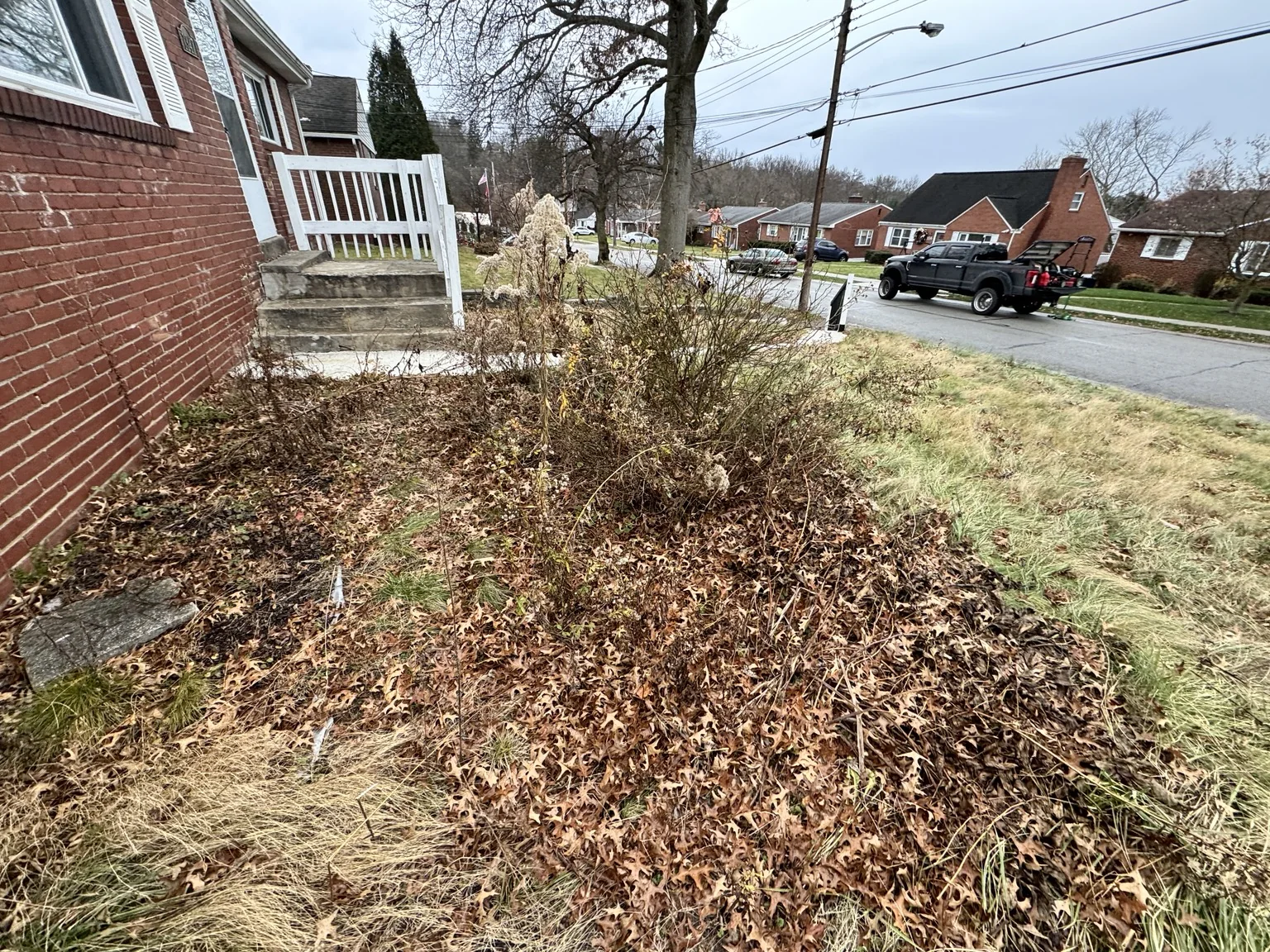 Yard cleanup or landscape bed before work