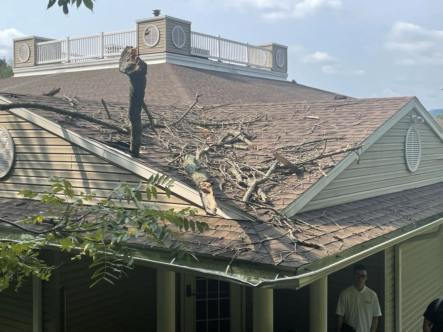 Roof damage from fallen tree limbs